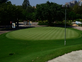 Sand-embedded Green